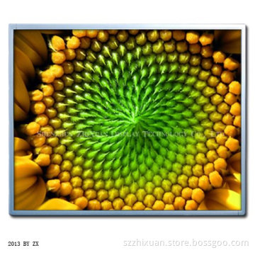 19'' High Brightness LCD, Outdoor Ad Player, LCD Monitor (ZX190-L02)